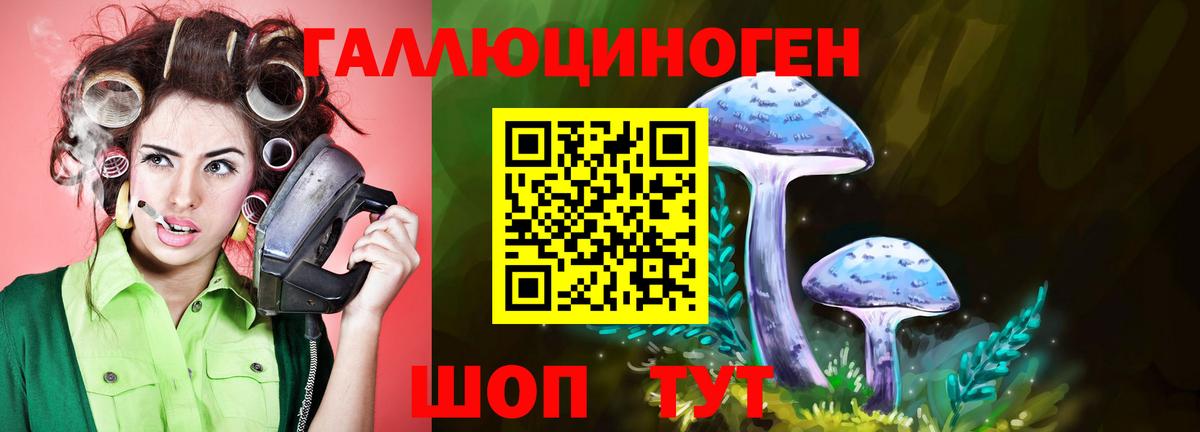 где найти   Вход с VPN  Зеленокумск  Псилоцибиновые грибы мухоморы 